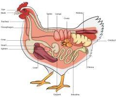 This is a sample blog image