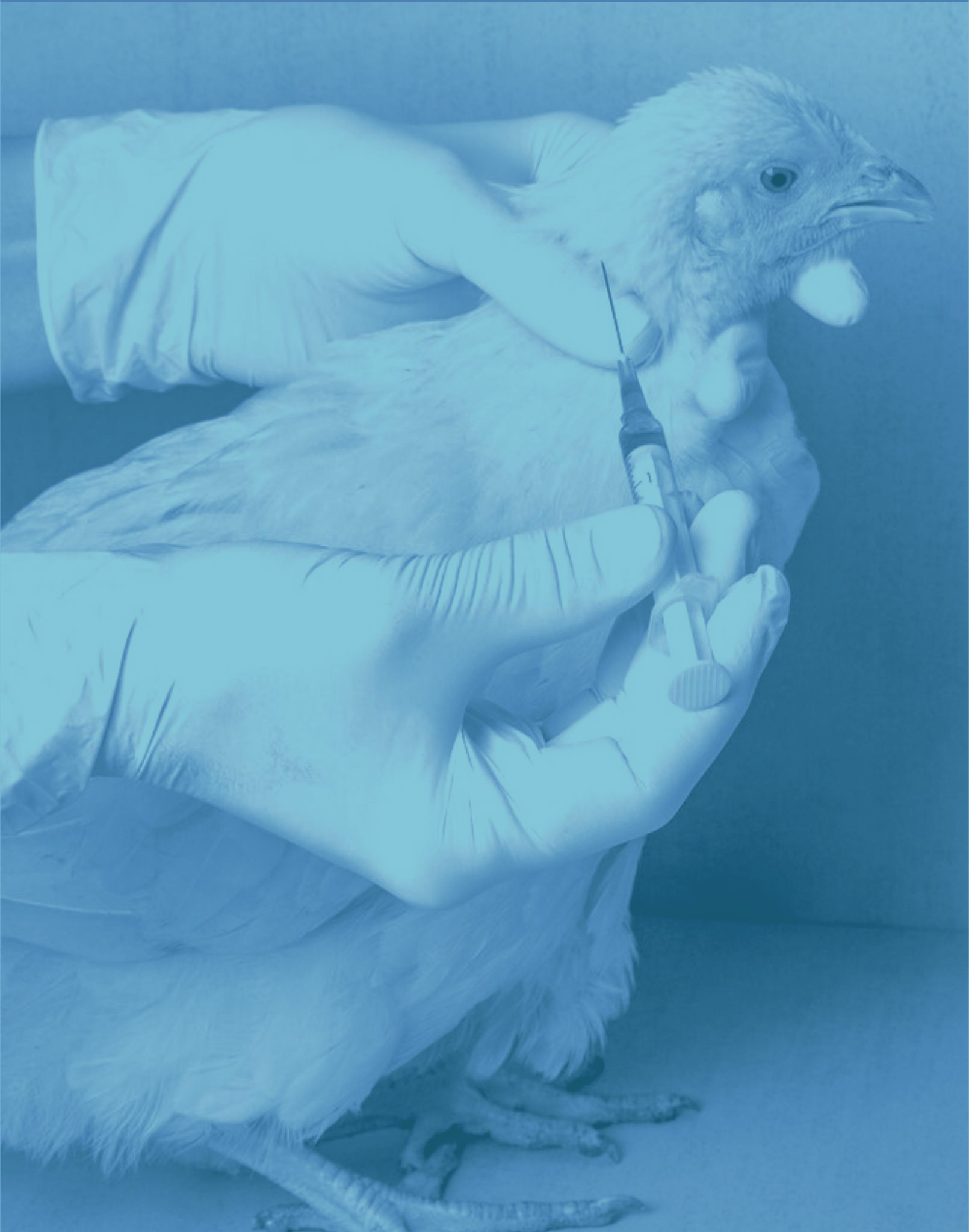 Diagnosis Specialities